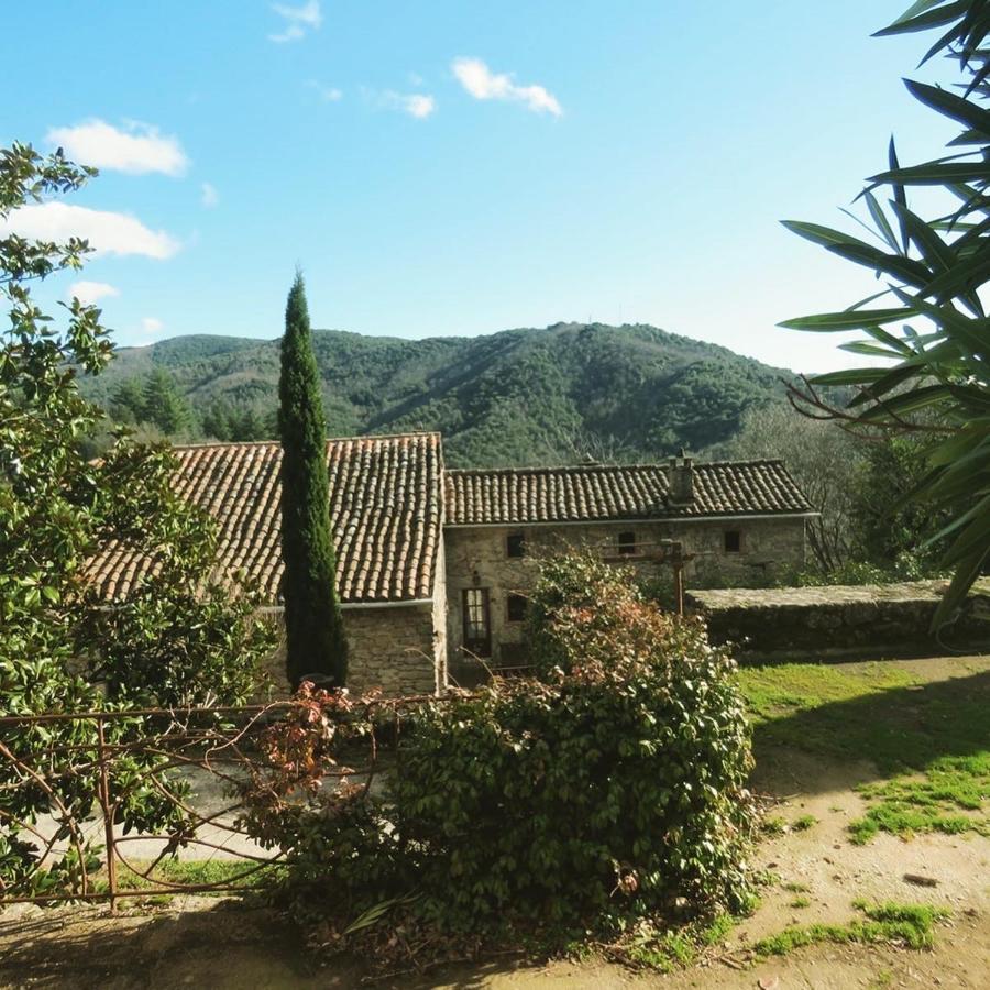 Gite Pommier Au Chateau Des Pauses Villa Saint-André-de-Majencoules Exterior foto